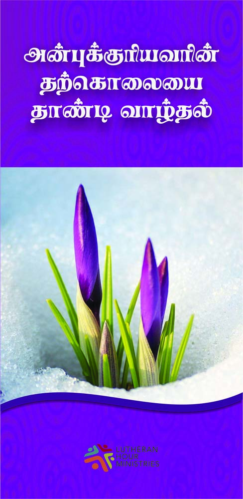 19_Book_Covers_Tam_JPG